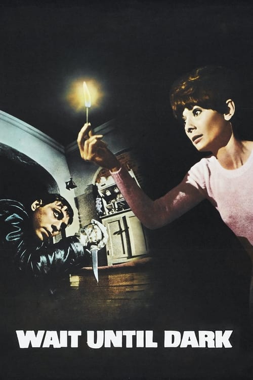 دانلود فیلم Wait Until Dark – تا تاریکی صبر کن