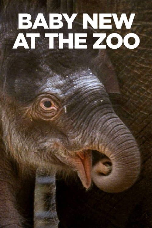 دانلود فیلم Baby New at the Zoo