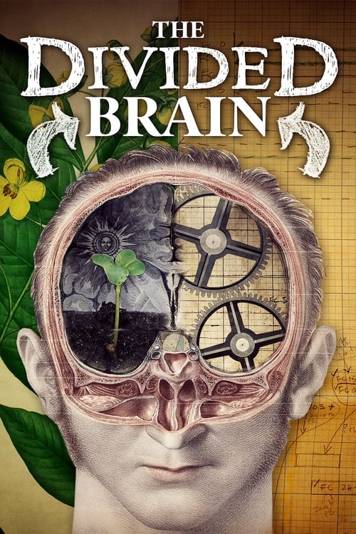 دانلود فیلم The Divided Brain