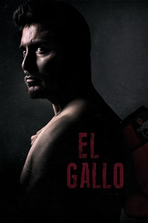 دانلود فیلم El Gallo